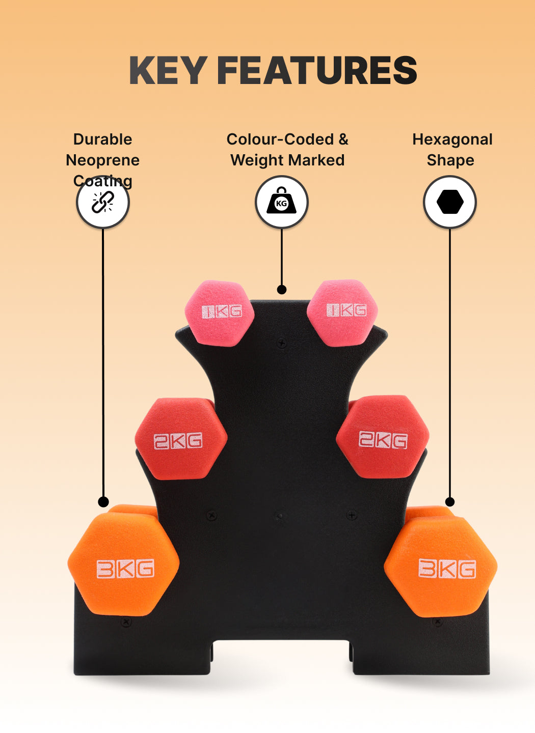 Cult Neoprene Dumbbells Combo for Gym Exercise (1kg + 2kg + 3kg Set) 12kg | Dumbbell With Stand