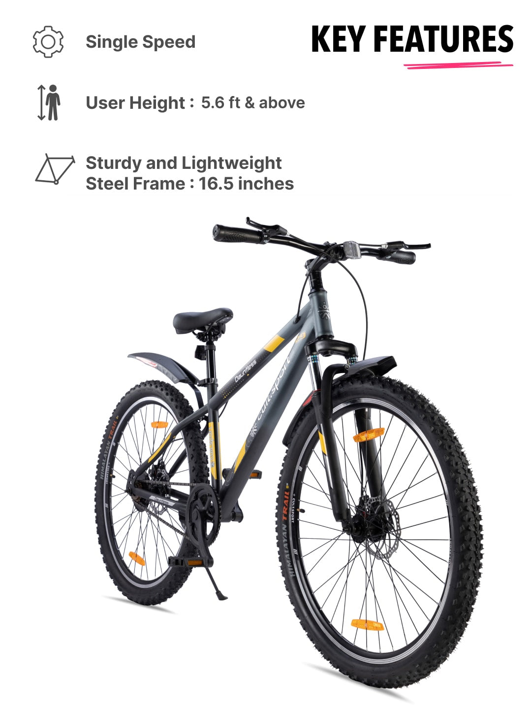 DAUNTLESS29TGREYBLACK Steel Single Speed 29 inch Mountain Cycle, Front Suspension, Double Wall Rim and Dual Disc Brake