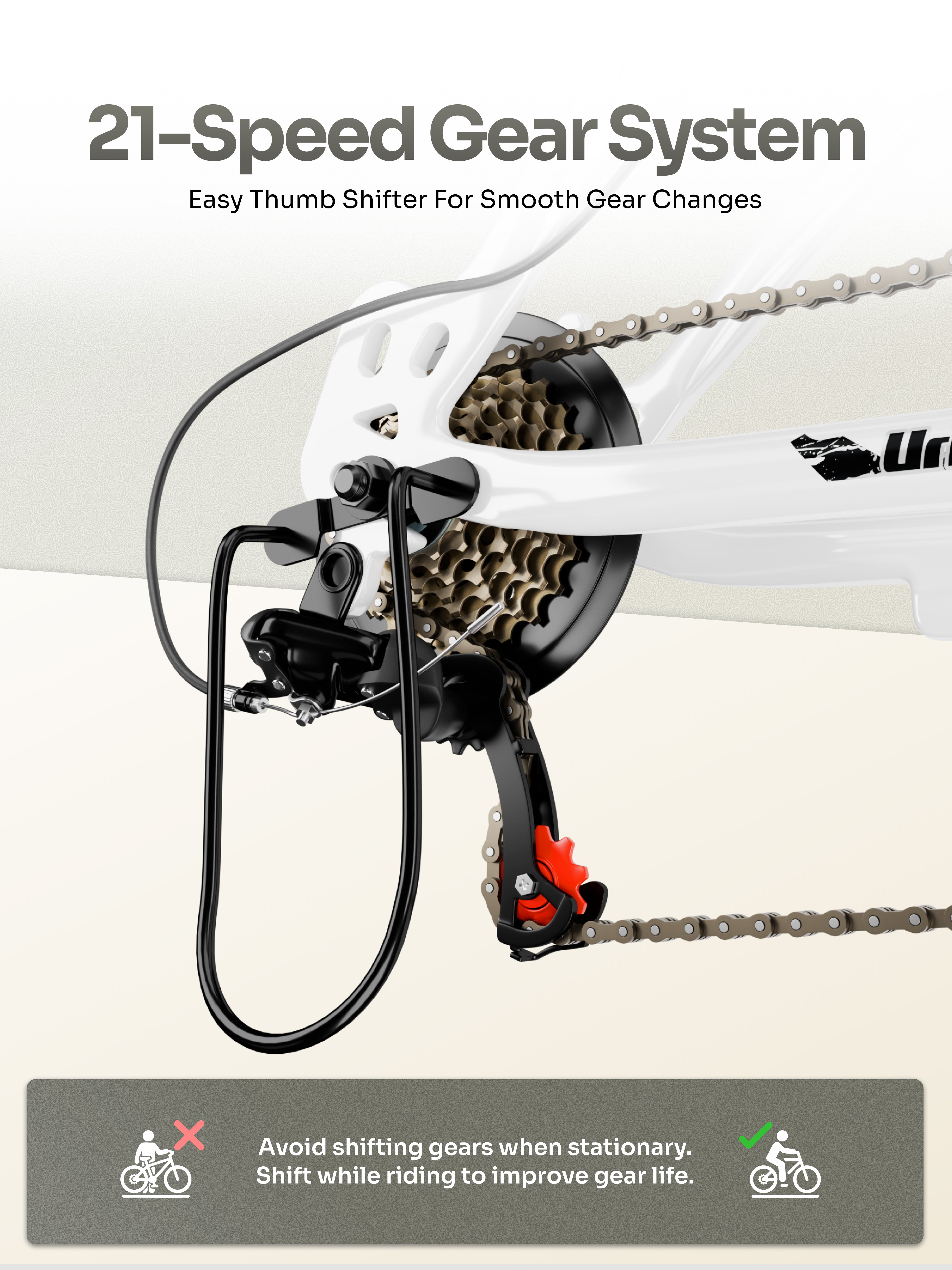 3 811ca7f8 17f4 43b9 bdf4 f23631b6aabd