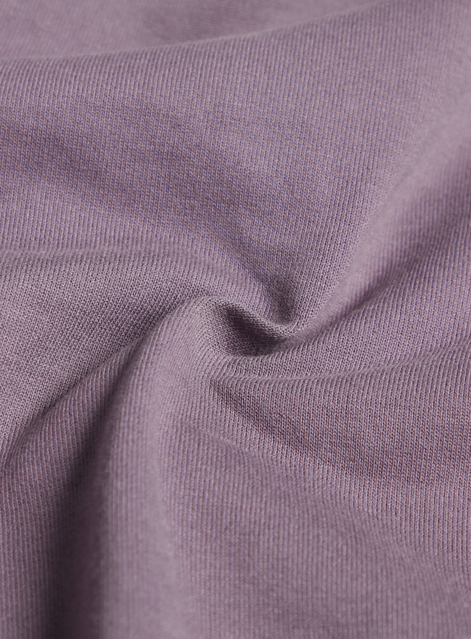 Men's Purple Train In Shorts