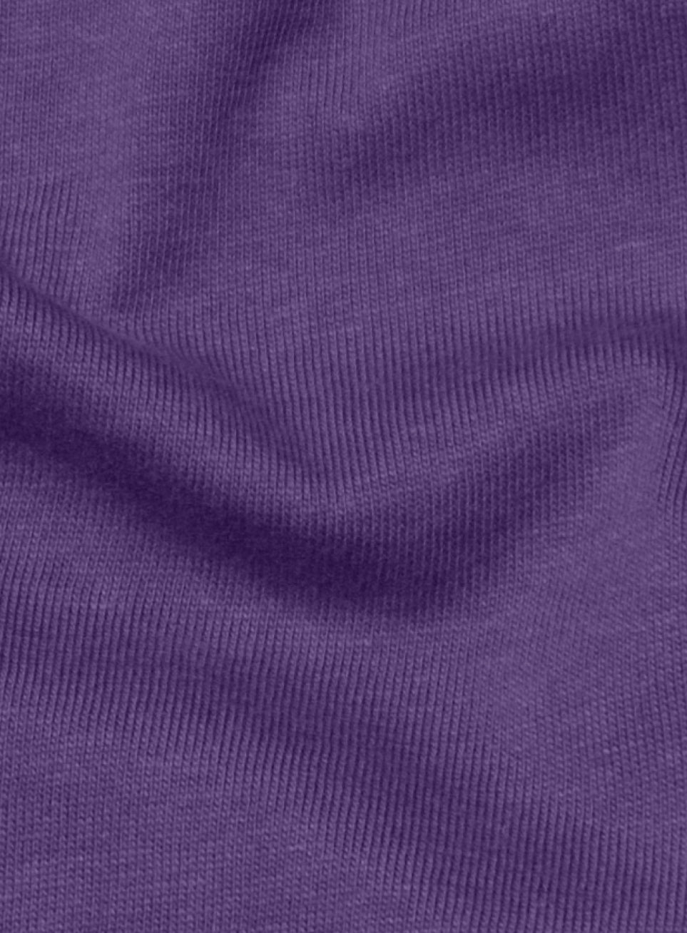 Women's Purple Full sleeve Plus Size T-shirt
