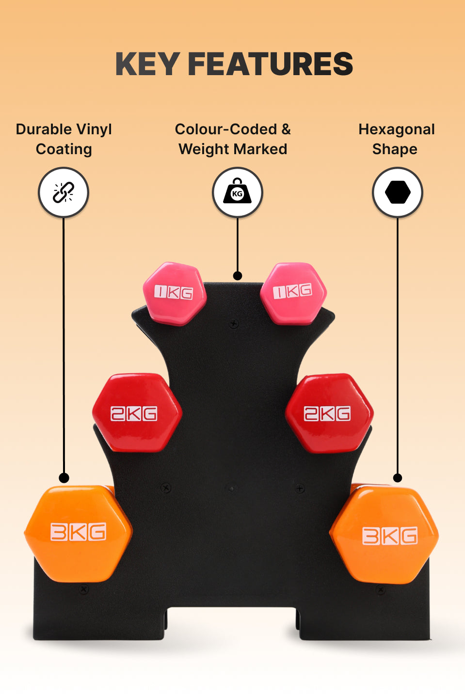 Cult Vinyl Dumbbells Combo for Gym Exercise (1kg + 2kg + 3kg Set) 12kg | Dumbbell With Stand