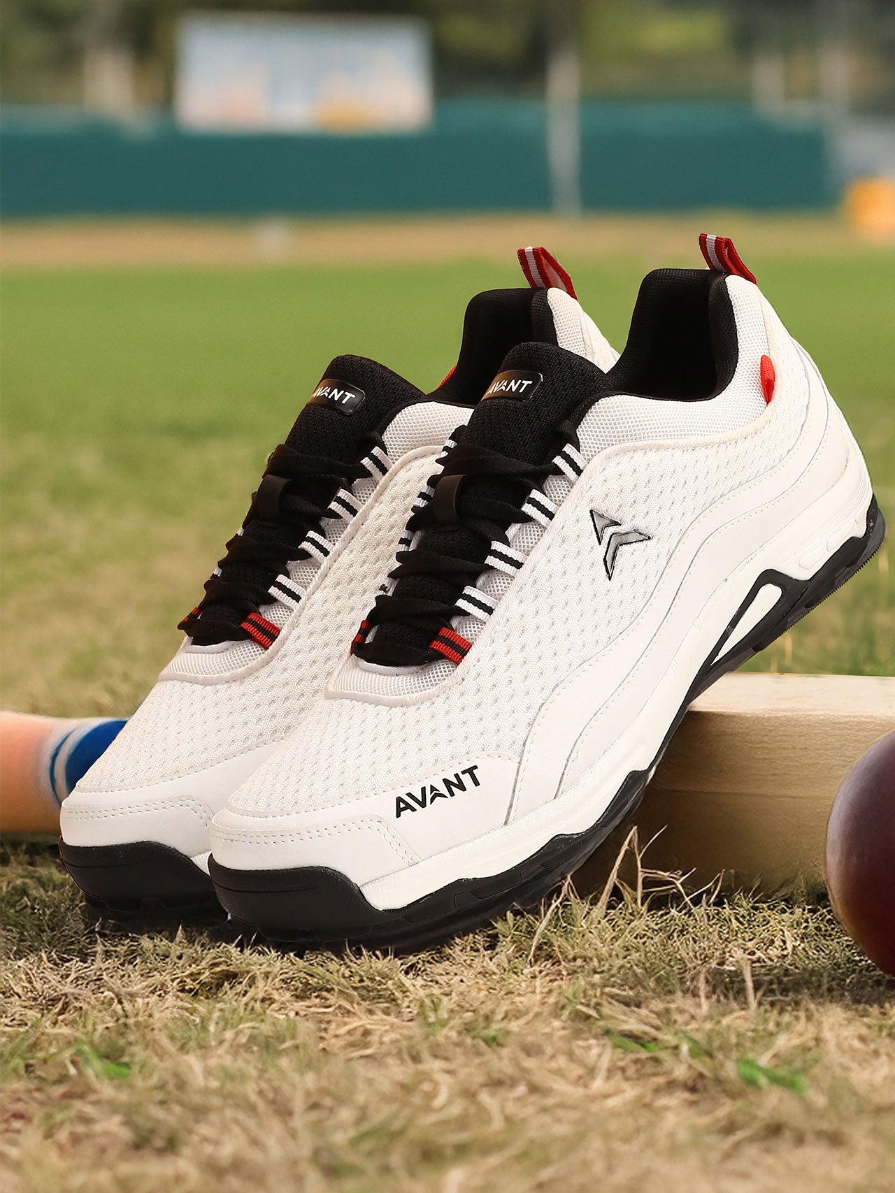 Avant Men's Striker Cricket Shoes - White /Black