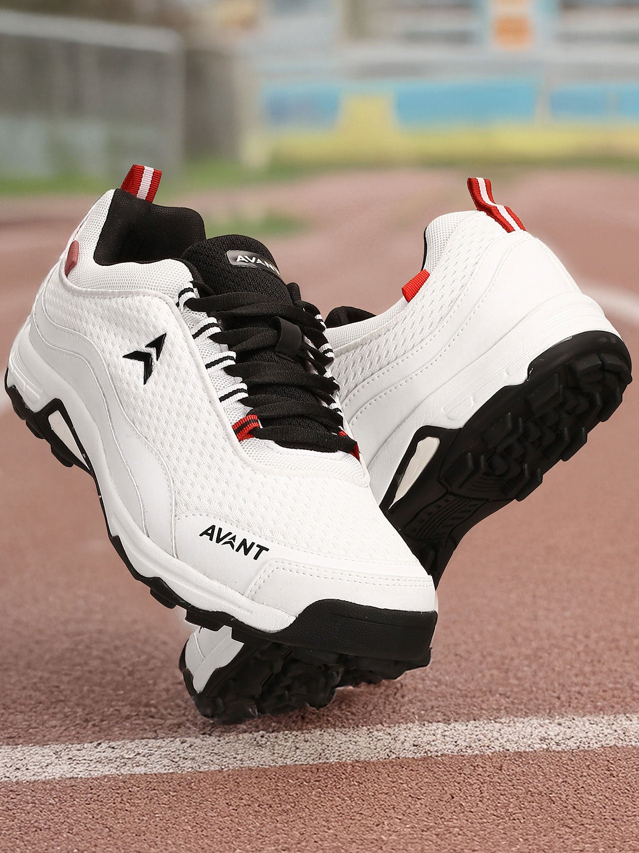 Avant Men's Striker Cricket Shoes - White /Black