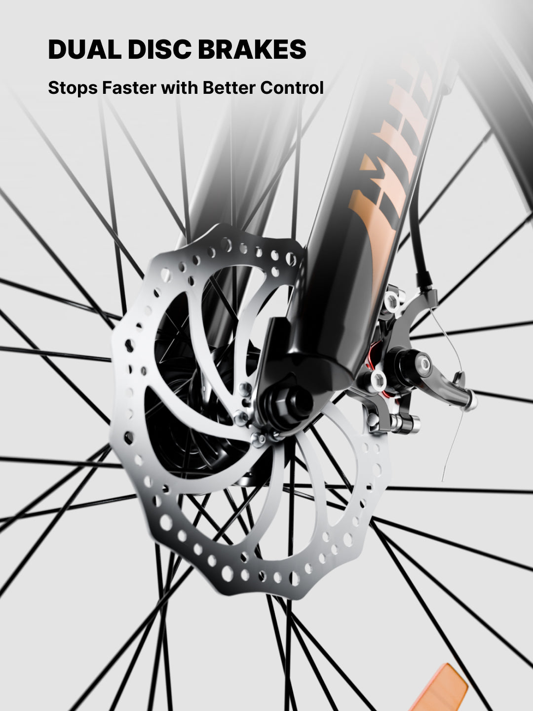 Cult Phoenix 29 inch Steel Mountain Bike with Dual Disc Brake and Front Suspension, Black