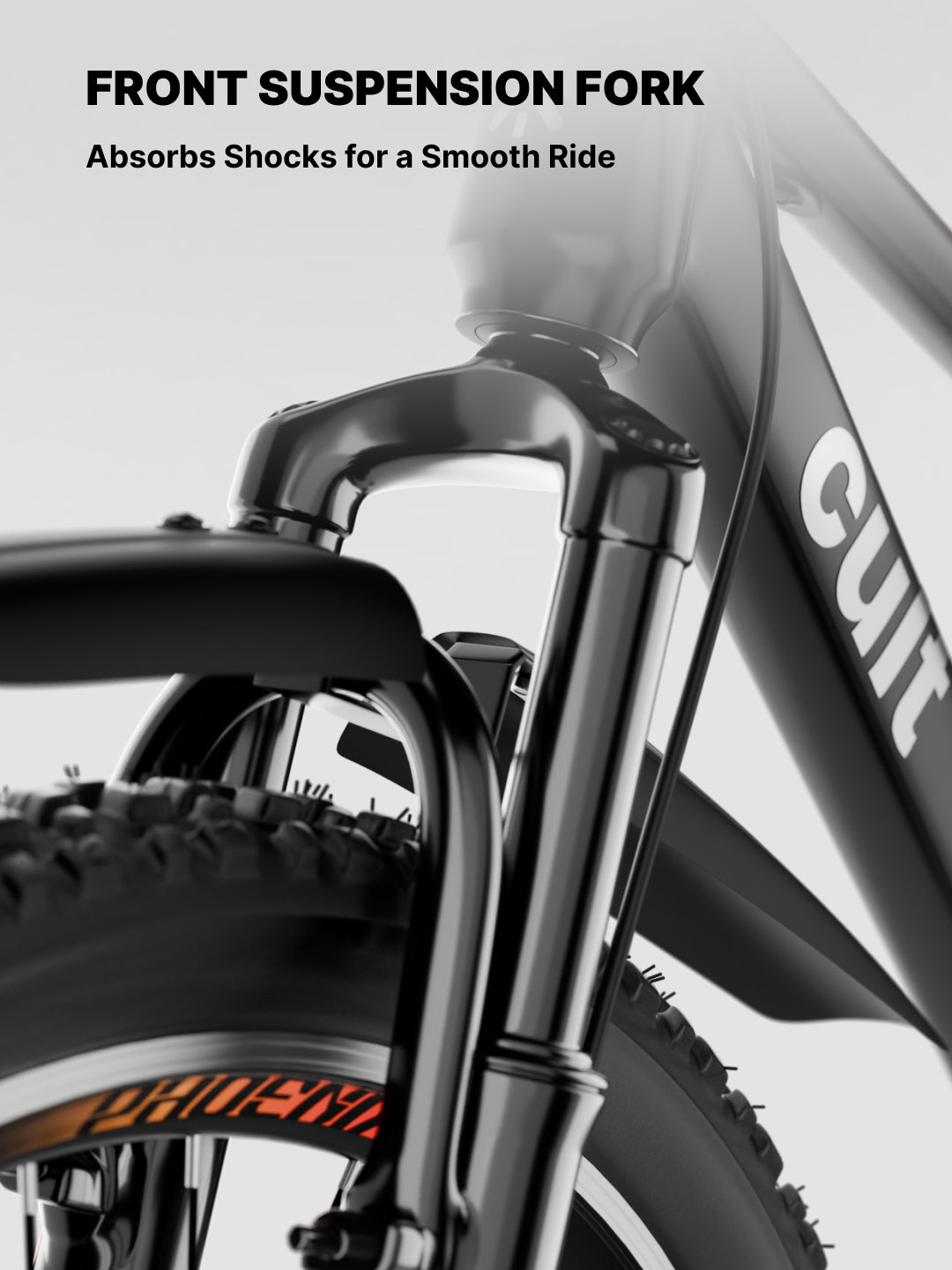 Cult Phoenix 29 inch Steel Mountain Bike with Dual Disc Brake and Front Suspension, Black