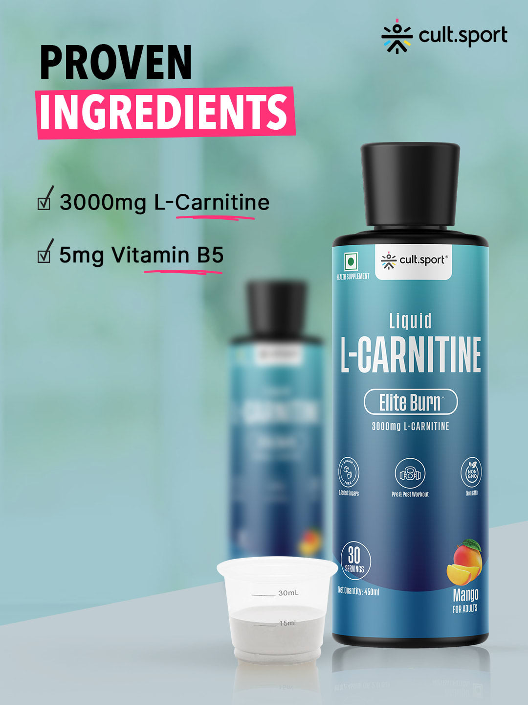 Liquid L Carnitine (450 ml) 3000mg with Vitamin B5 | Improves Energy, Fat Burner | Metabolism & Weight Management Supplement | Sugar-Free | Mango Flavour (15 ml serving)