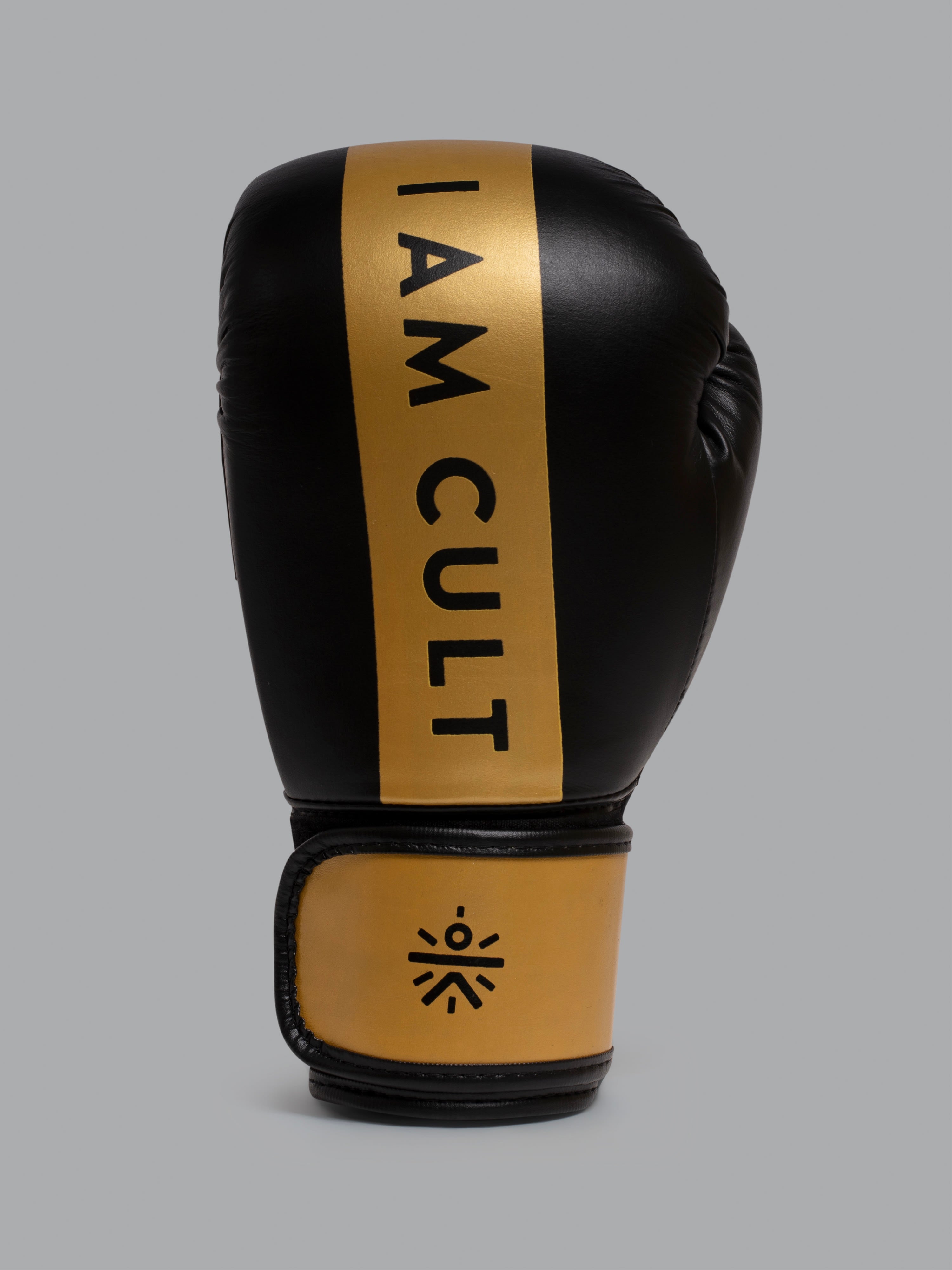 Combo Boxing Gloves with Handwraps