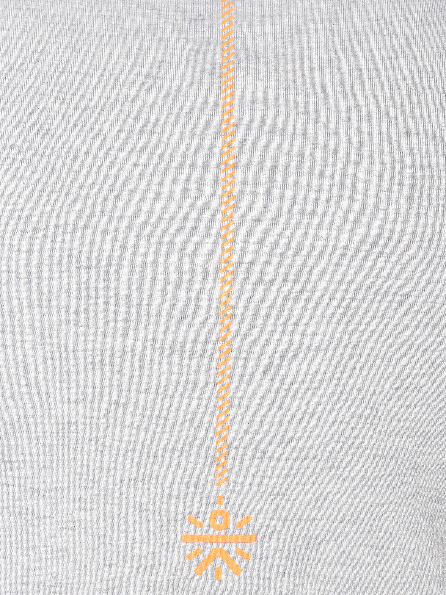 Everydays I AM CULT Grey Cotton Tee