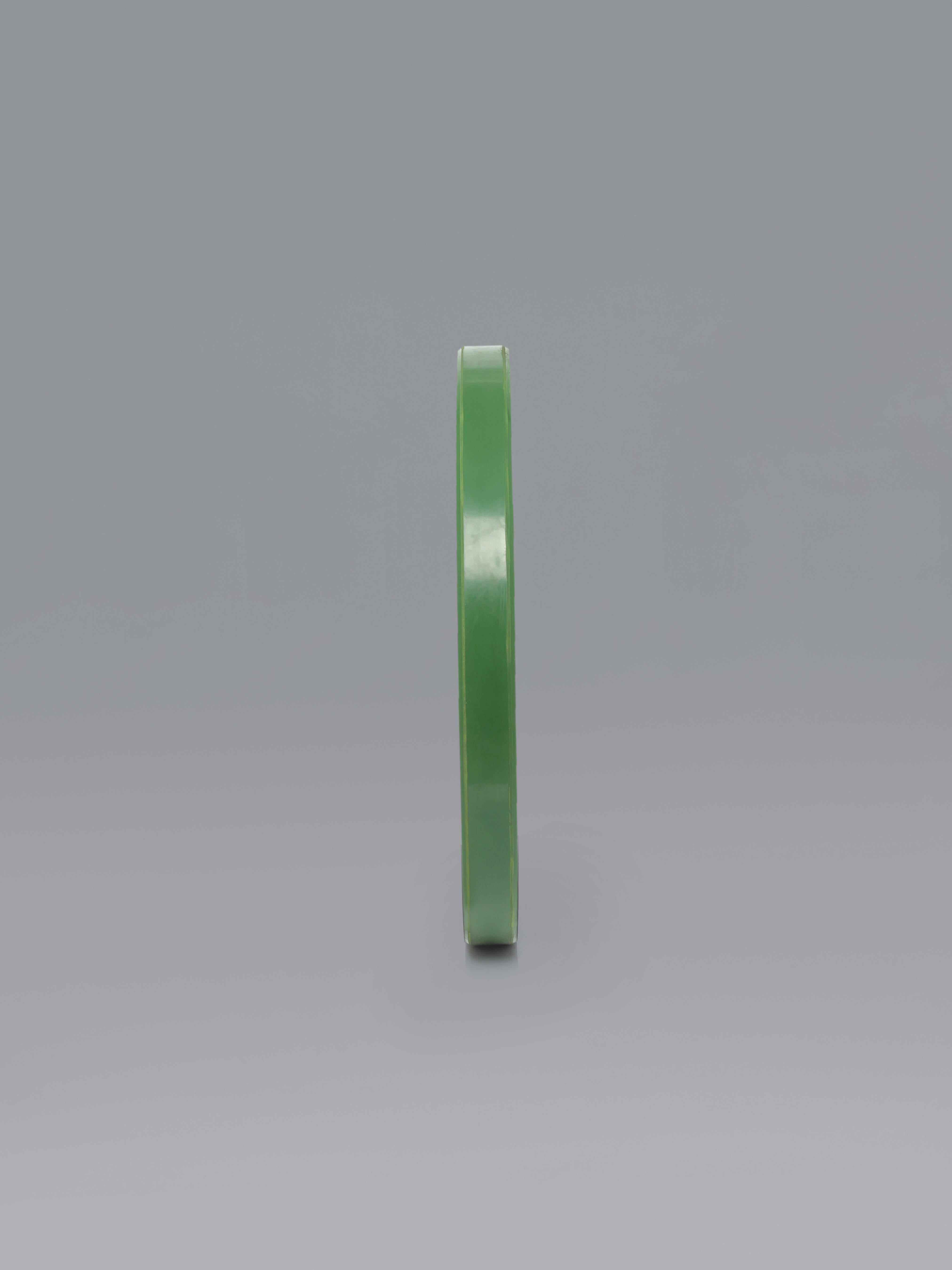 10kg Pack of 2 Colour Bumper Plate with rubber coating