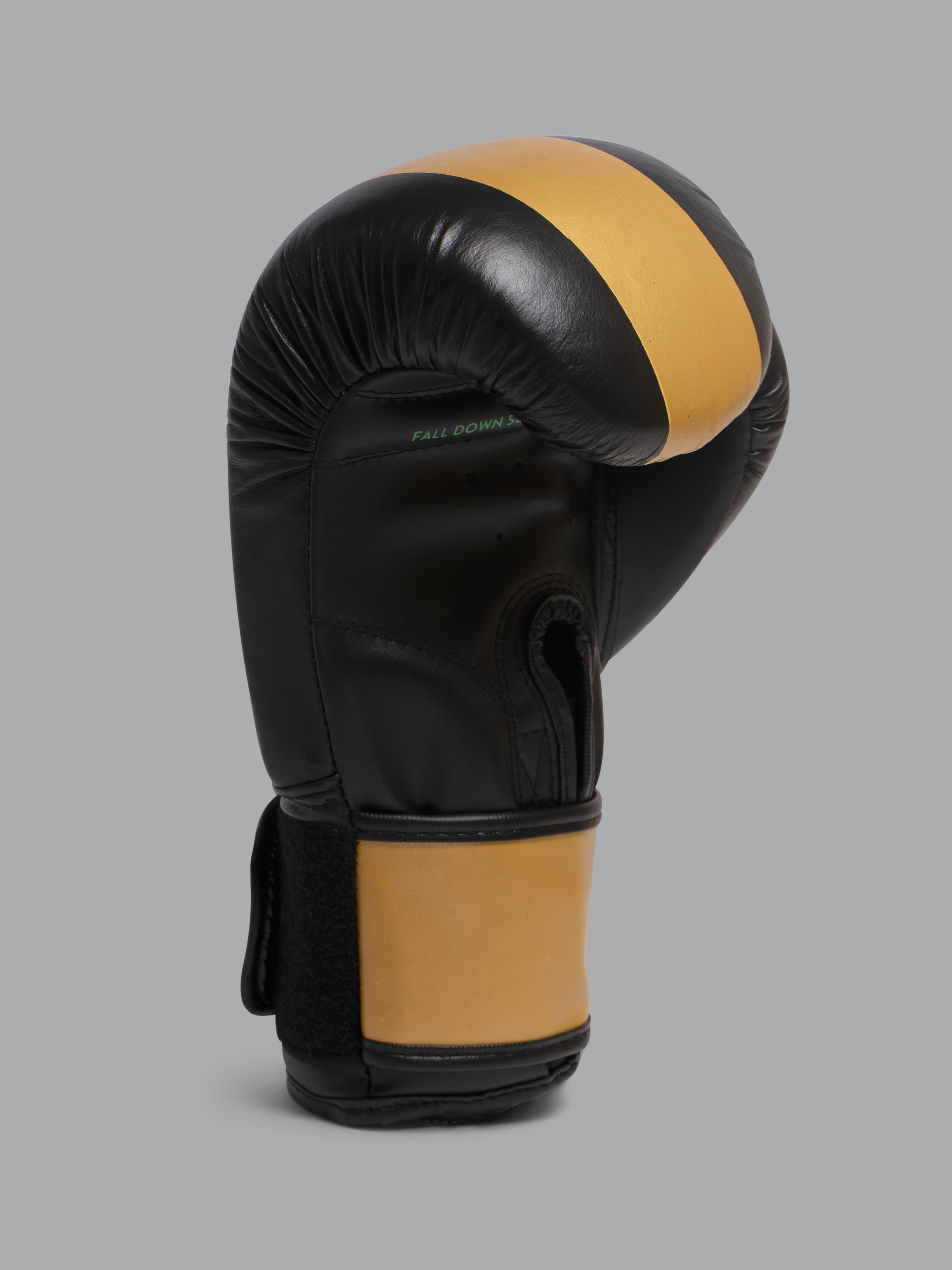 Signature Boxing Gloves