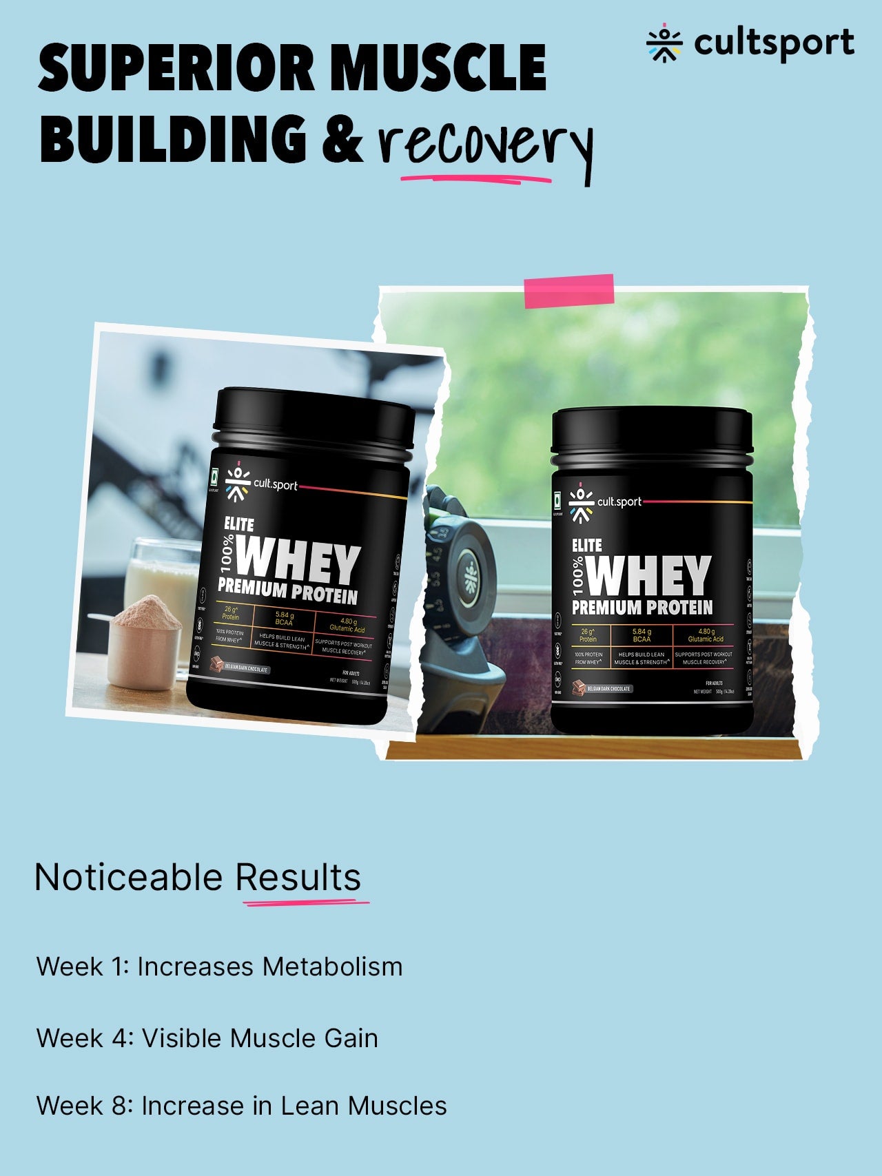 100% Whey Protein Premium Protein - 500g | Sugar free | Protein Powder for Men & Women for Muscle Support & Recovery | 25g Protein Per Serving | 2.5g BCAA, 3.9g Glutamic acid | Belgium Dark Chocolate