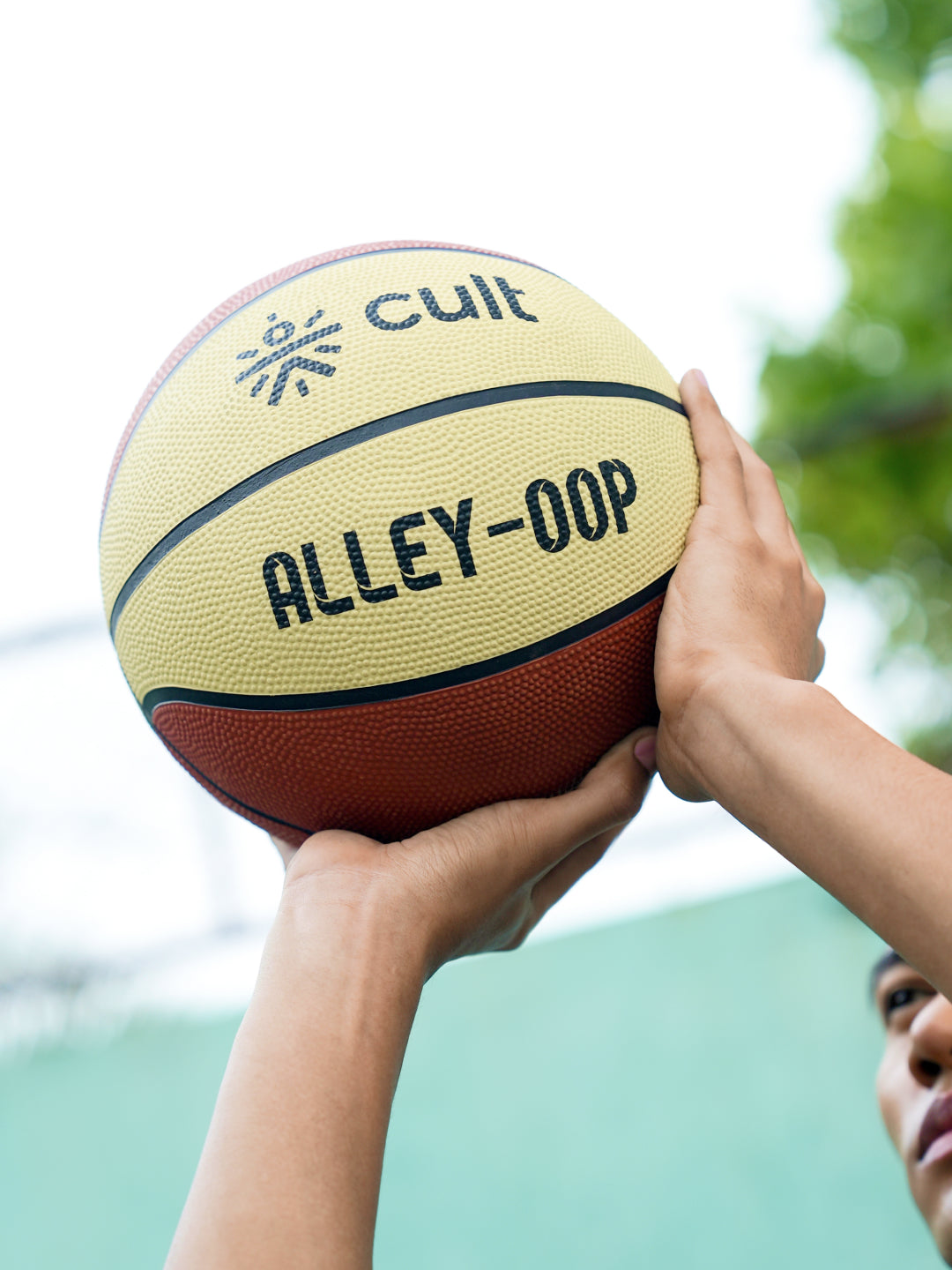 1 1787e237 d23e 40b7 8c50 cf0f1bdb5df4