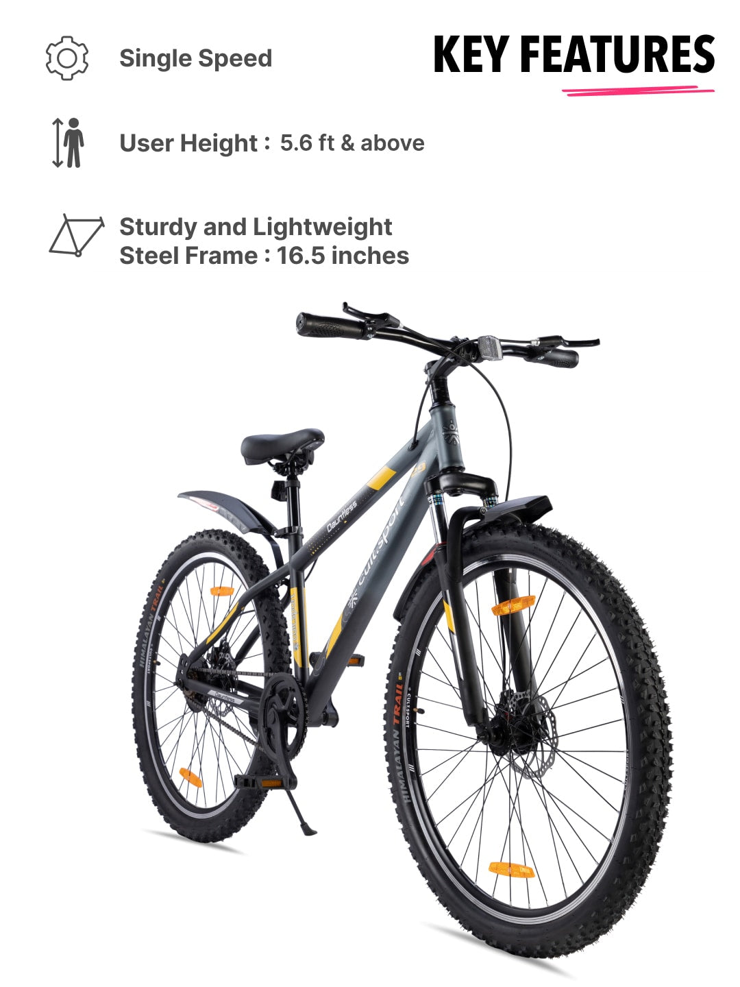 DAUNTLESS29TGREYBLACK Steel Single Speed 29 inch Mountain Cycle, Front Suspension, Double Wall Rim and Dual Disc Brake