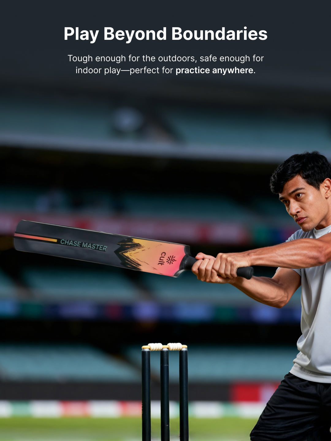 Cricket Bat Chase Master