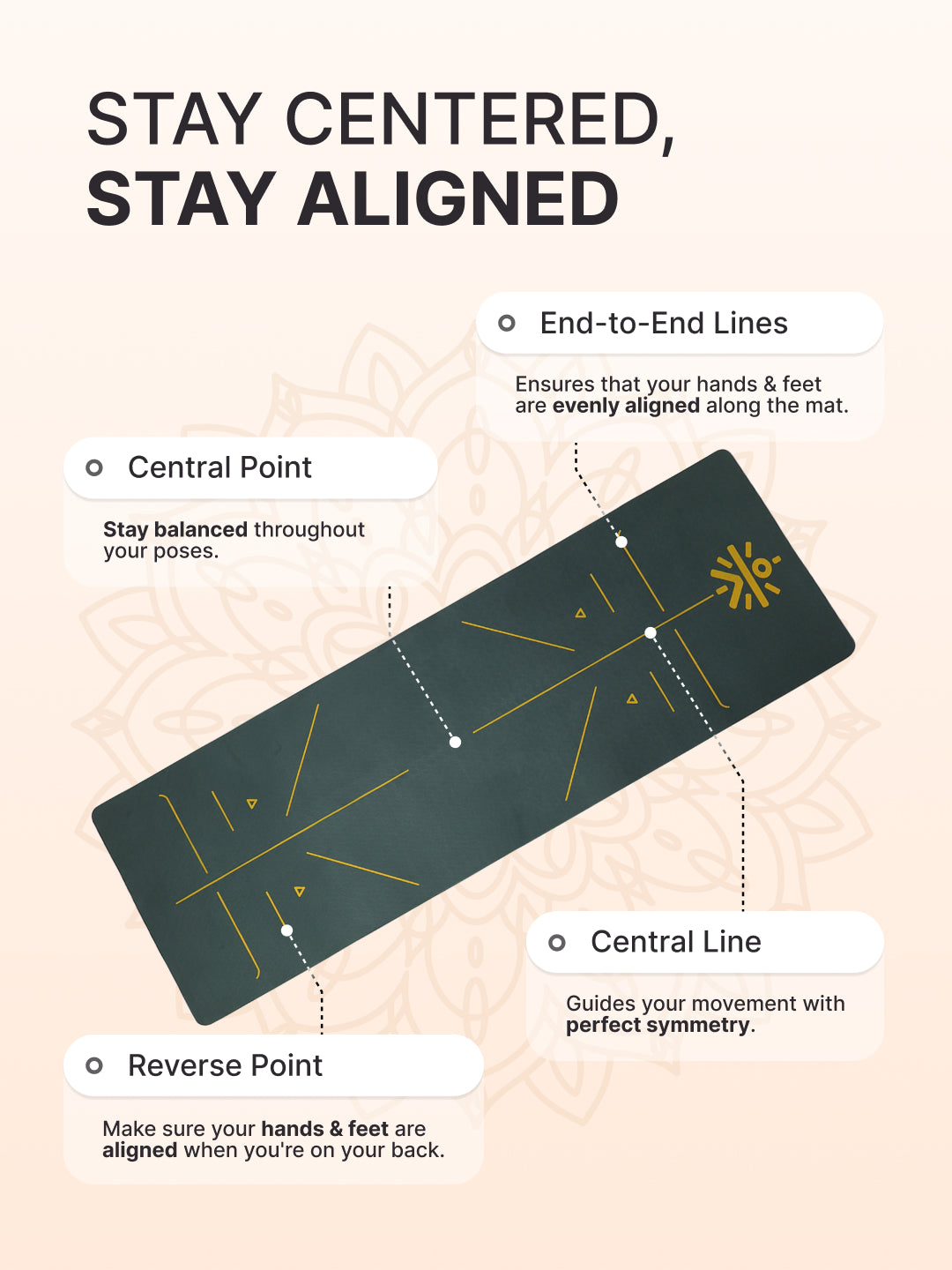 5 576bd611 b132 43f8 b249 5fc953930785