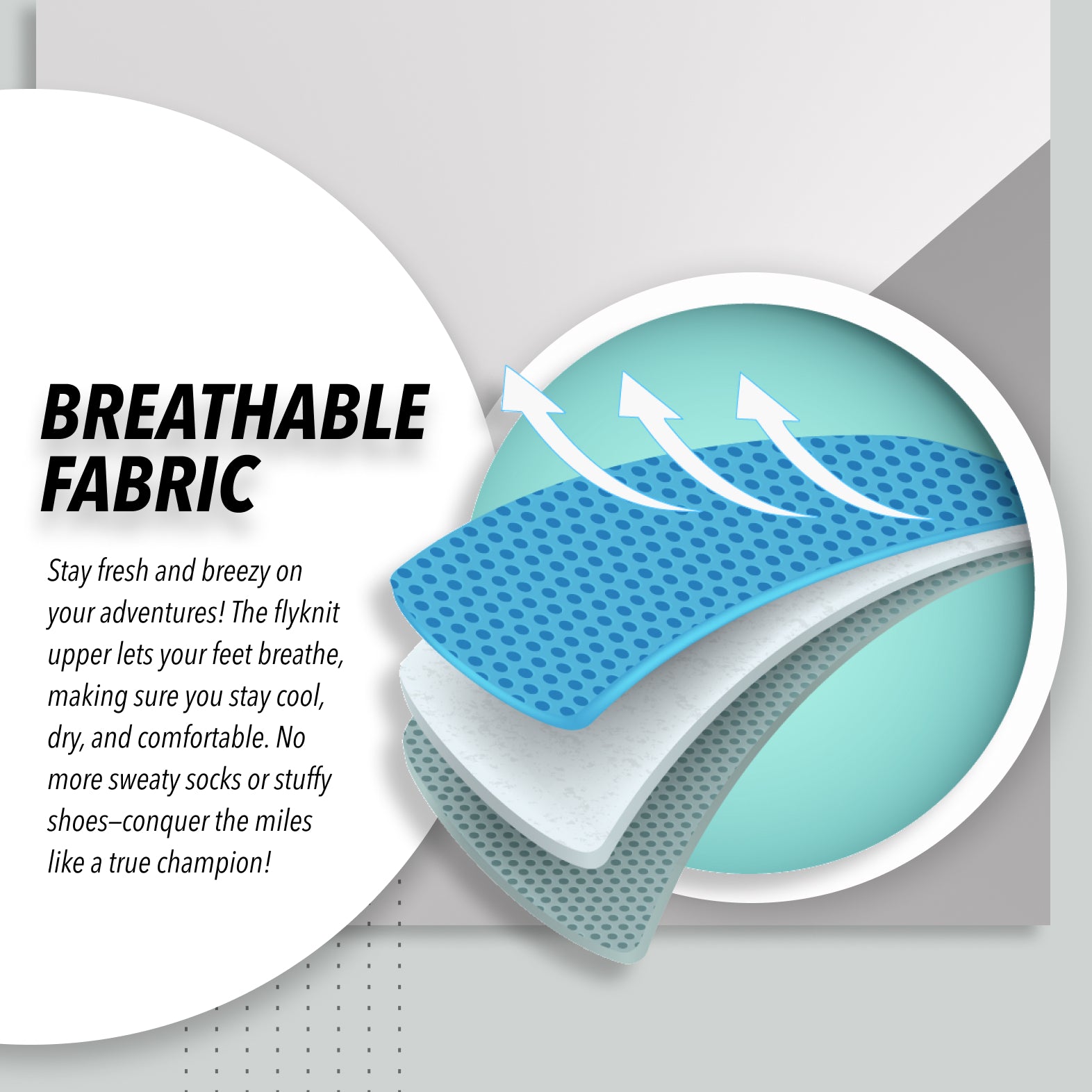 702310 aplus image 2