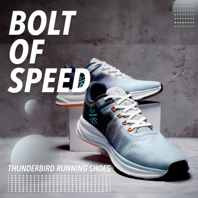 702319 aplus image 1