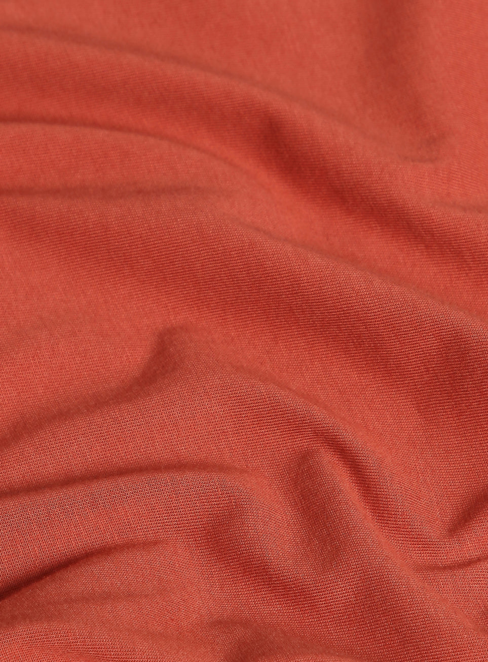 Women's Cult Essential Cotton Plus Size Pack of 2 Regular Fit T-shirts